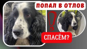 Брошенные и преданные не заканчиваются