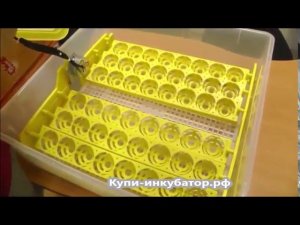 Обзор китайского инкубатора И48-3