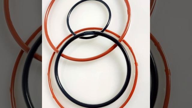 o ring with PTFE encapsulated supplier смотреть онлайн
