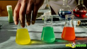 Химическое шоу с МК Наукомания