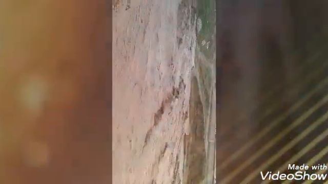 Сели калон дар хуросон дехаи Обикиик хатман тамошо кунед смотреть онлайн