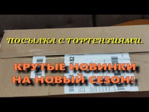 Новые гортензии в моей коллекции.