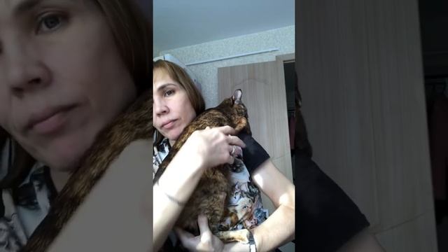 Несси и я. Доброе утро!#ориенталы #ориентальнаякошка #кошка