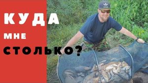 Руки устали таскать, в этой яме полно рыбы Фидерная рыбалка на реке Как ловить леща