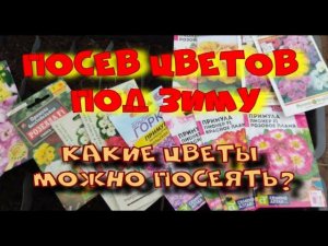 Подзимний посев. Какие цветы посеять осенью?