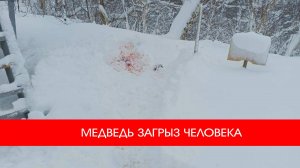 ⚡️МЕДВЕДЬ ЗАГРЫЗ ЧЕЛОВЕКА
