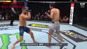 Бой забит магомедшарипов и Келвин катар