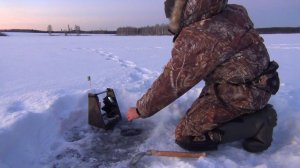 КАК ПОЙМАТЬ КРУПНОГО ОКУНЯ НА БЕЗМОТЫЛКУ?