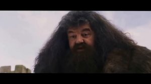 Гарри Поттер и Философский Сос | RYTP