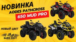 НОВИНКА🔥 Aodes Pathcross 650 MUD PRO🚜 Двухместная 650-ка для жесткого бездорожья 👍🏼