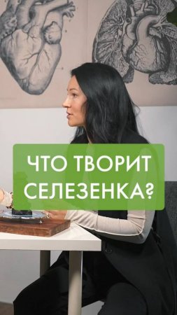 Что творит селезенка?