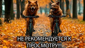 Как правильно собрать гербарий || Не для слабонервных