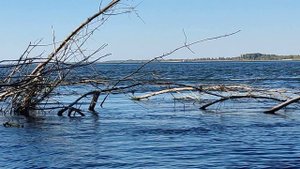 Калмыкия. Каршевитое, ч3