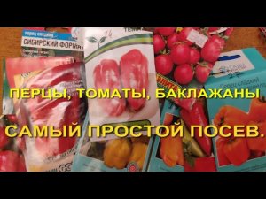 Перец, баклажаны, помидоры. Самый простой способ посева.