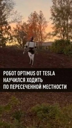 Робот Optimus от Tesla научился ходить по пересеченной местности