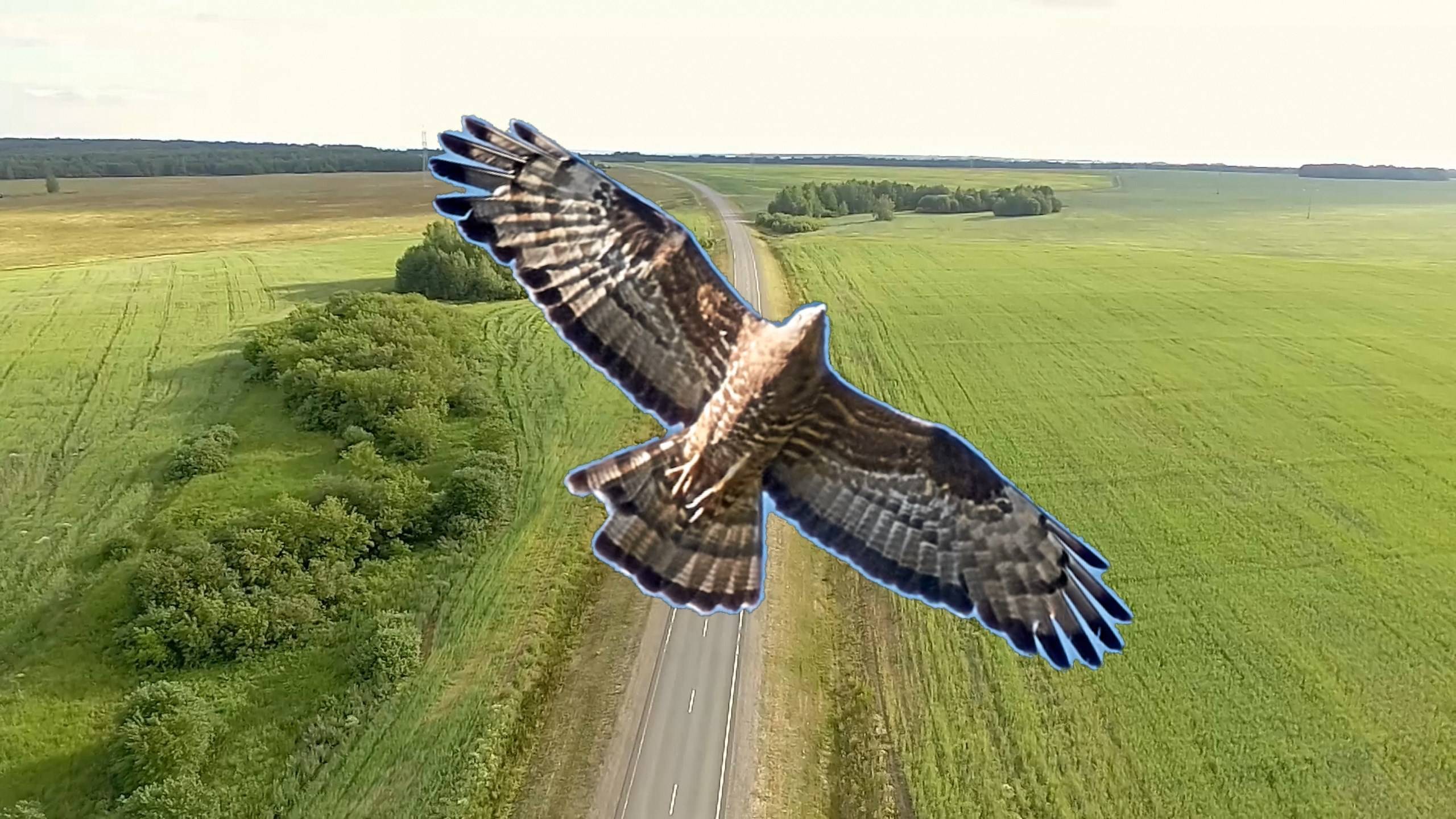 Вещание Гамаюна 9. Осоед