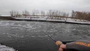 Какие бывают Рыбины. Ультралайт. Москва река. Рыбалка зимой.