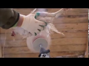 Насадка на дрель для ощипывания Ерш-2