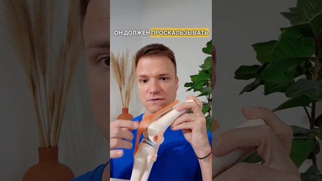 Про Боль в Колене #колено #больвколенях  #приседания #биомеханика #здоровье
