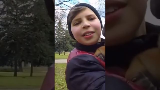 #шарпей смотреть онлайн