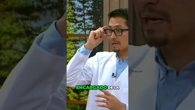 Dolor intenso en el #ojo o #migraña vs afectación del nervio trigémino смотреть онлайн