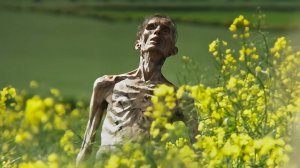 28 лет спустя — Русский трейлер (2025)