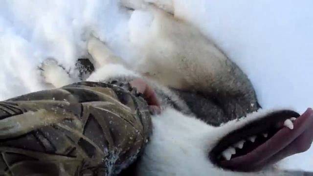 Мой зайчик!!! И точка!!!