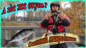 А где же окунь? Осенний микроджиг. Рыбалка на Химкинском водохранилище