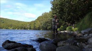 Несколько минут ловли гольца на Камчатке