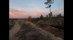 Охота в Америке часть 2