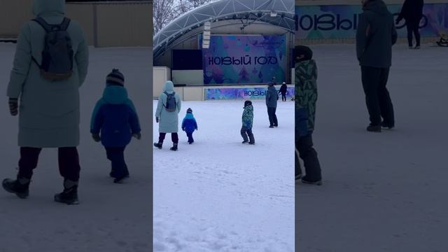 Березовая роща Декабрь Дзержинский район Сибирь Новосибирск Недвижимость Жилье Новостройки Парк Снег