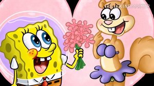 Губка боб и сэнди