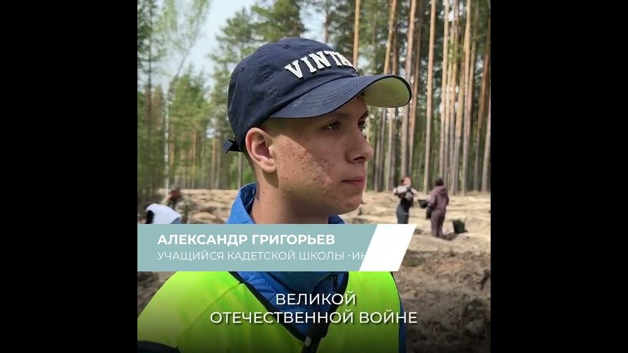 140 тысяч молодых деревьев высажено у нас в регионе в память о героях Великой Отечественной войны.