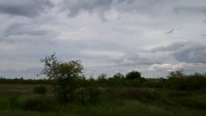 Песня Сергея Ларина «Корабль мечты»