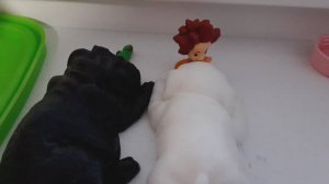 Как я провожу время со всем своими сквишами