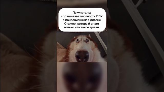 Вопрос со звездочкой!