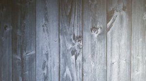 #30 Объемное пополнение коллекции полимерных банкнот! Часть I