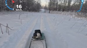 покатушка на мотособаке # shorts