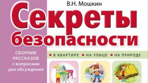 Мошкин В.Н. СЕКРЕТЫ БЕЗОПАСНОСТИ. Сборник рассказов для детей с вопросами для обсуждения. Крупные бу