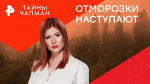 Отморозки наступают — Тайны Чапман (31.07.2024)