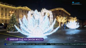 Зимний сад на Синем мосту