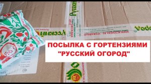 Гортензии из посылки от питомника "Русский огород! Семена цветов.