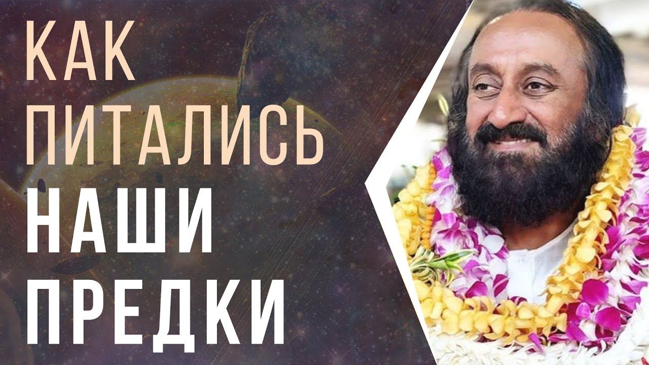 Как питались наши предки