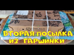 Вторая посылка из Гаршинки