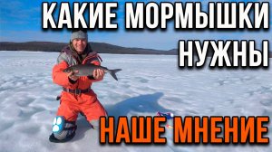 Какие мормышки нужны, наше мнение.