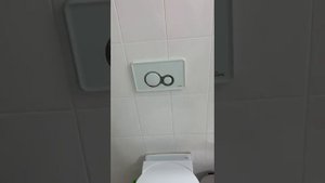 Теплоход Маленький принц. Июль 2024. Обзор каюты 356