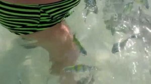 Трусы подруги.