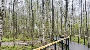 Вставай! Работать пора! Стараясь не разбудить сына, свекровь пнула ногой спящую невестку.