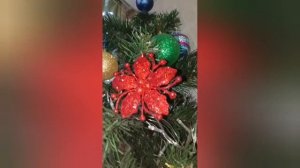 как мы наряжаем елку,и что в это время делает Марфа 🎄😼😹😹😹