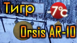 Тигр 7.62х54 Orsis AR10 308Win на 100 и 400 метров
